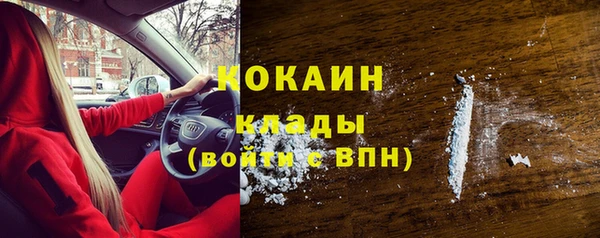 тгк Алексин
