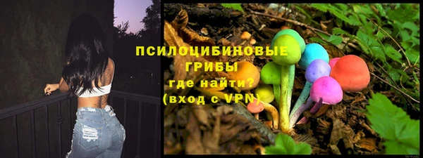 стафф Алзамай