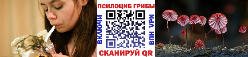 где продают наркотики  Спасск  Псилоцибиновые грибы мицелий 